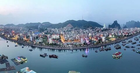 Những loại rau trồng một lần ăn quanh năm