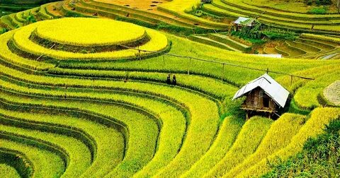 Hotspot Matrix và sự phát triển của trẻ em